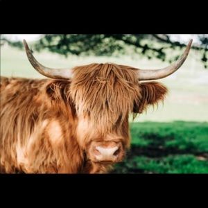 Meet your Posher, Christy